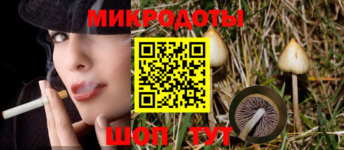 Галлюциногенные грибы мицелий Новошахтинск