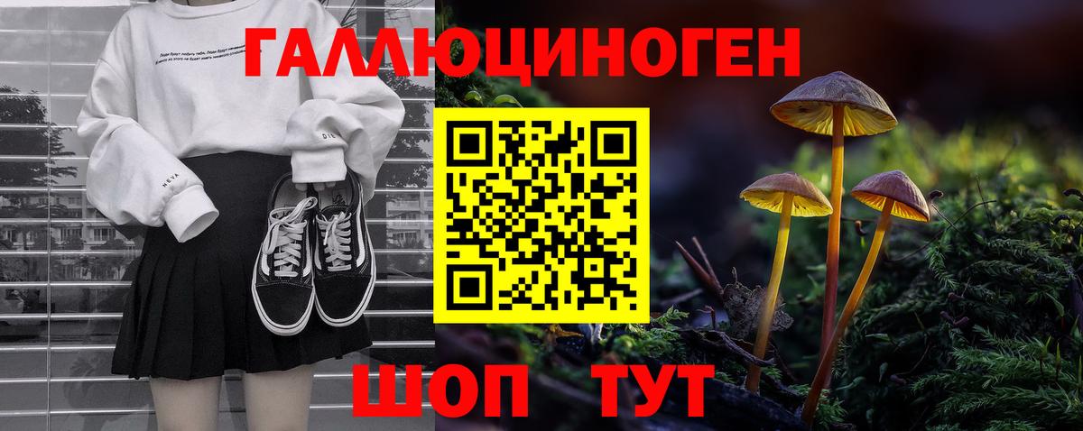 Псилоцибиновые грибы Magic Shrooms  Вход с VPN  Псилоцибиновые грибы Psilocybe  Новошахтинск 